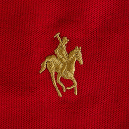 Playera Polo Diseño