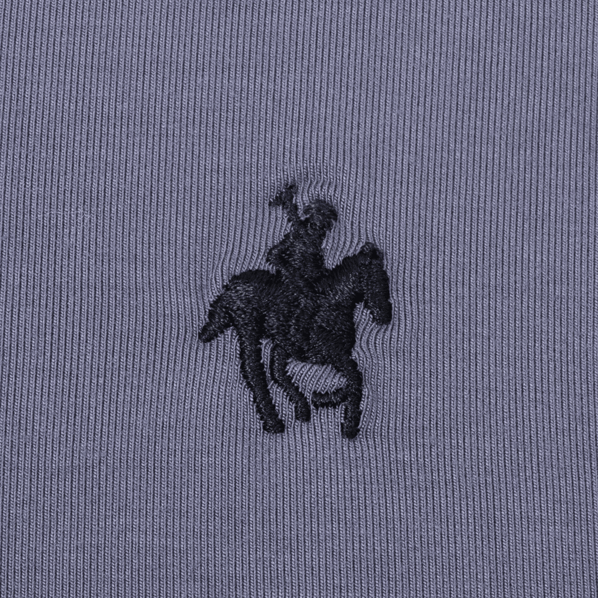 Playera Polo Diseño