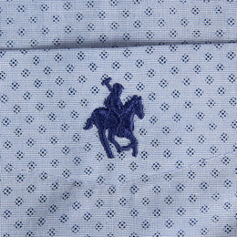 Camisa Button Down