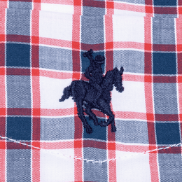Camisa Button Down