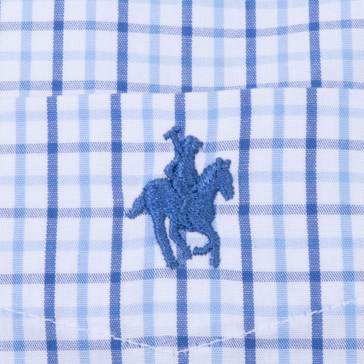 Camisa Button Down