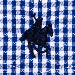 Camisa Button Down