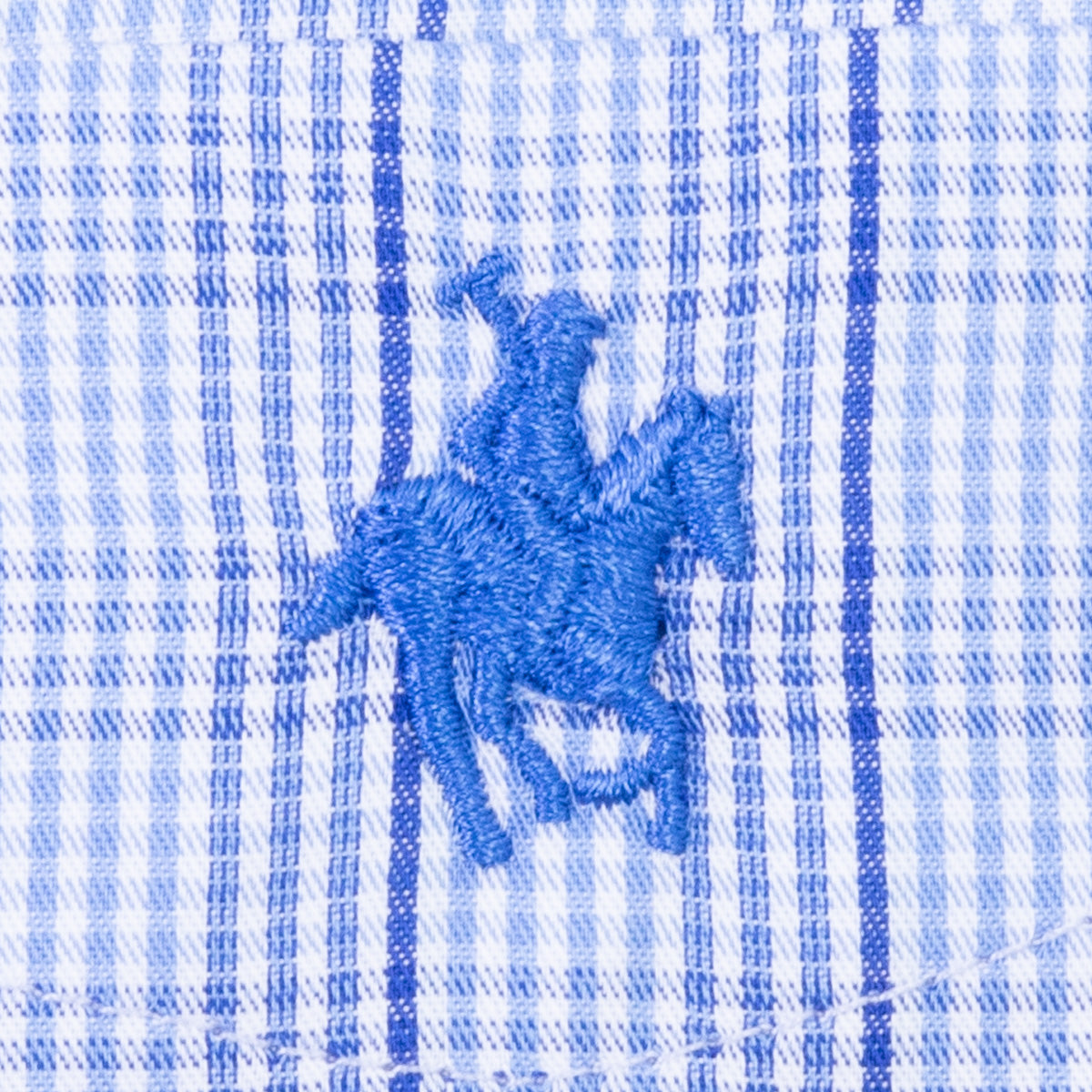 Camisa Button Down