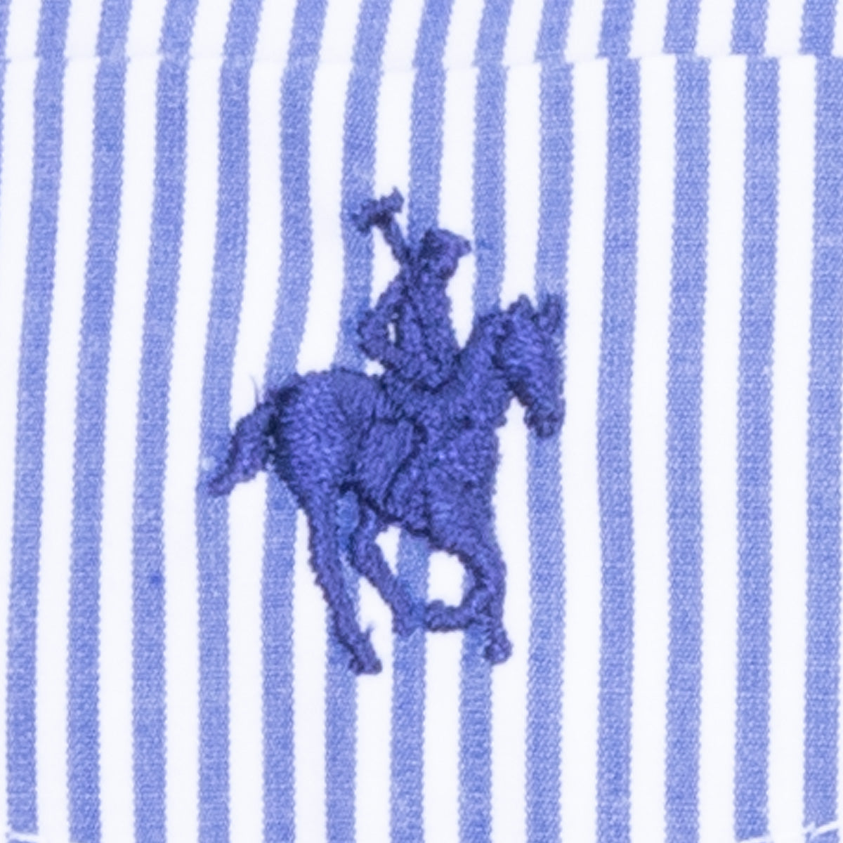 Camisa Button Down